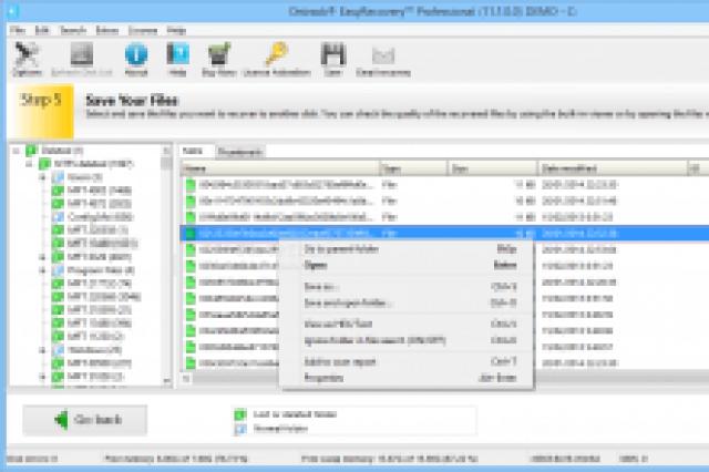 Ontrack Easy Recovery Pro می تواند فایل های پاک شده را بازیابی کند